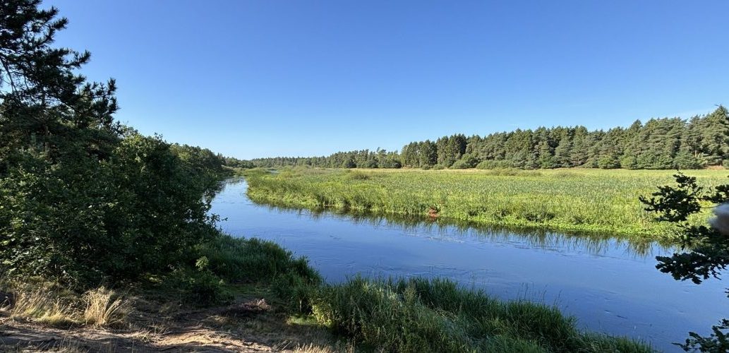 Gudenåen