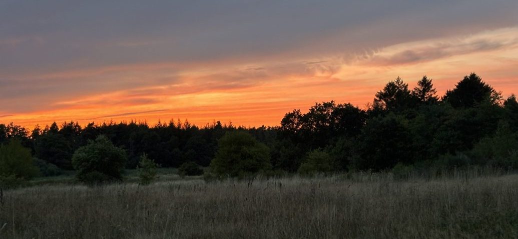 Solnedgang over engen